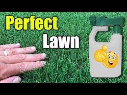 How To Get Thick Green Lush Lawn Quickly Youtube Lush Lawn How To Get Thick Lawn