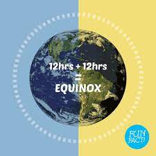 Bella Smile Cosmetic Dentistry Fort Lauderdale Fl Dentistry Family Dentistry Cosmetic Dentistry