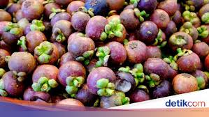 Bengkung jamu mak dara sangat efektif untuk mengembalikan bentuk tubuh ibu ibu bersalin selepas melahirkan kepada bentuk asal melalui penggunaan yang. Setelah Makan Manggis Dilarang Minum Minuman Bergula