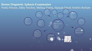 Boston Diagnostic Aphasia Examination by Schelin Barkate
