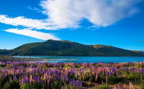 Demikianlah 49 gambar pemandangan alam yang indah. 7 Wisata Di New Zealand Ini Wajib Masuk Bucket List Para Pecinta Alam