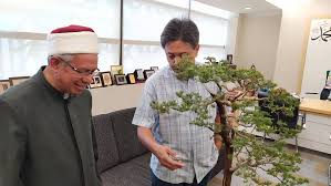Tanahnya boleh dibuang habis 100%. Dr Zulkifli Mohamad Al Bakri On Twitter Menerima Ziarah Presiden Persatuan Bonsai Suiseki Malaysia Datuk Chua Kok Hwa En Izwan Ke Pejabat Saya Menghargai Hadiah Bonsai Cucur Atap Yang Amat