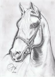 Pin By Ili Brunaczkyne On Transzfer Mintak Horse Art Drawing Horse Drawings Animal Drawings Sketches