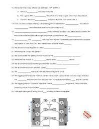 Conceptually, dna structure and replication worksheet are an understanding moderate for training pupils memory on classes learned in the classroom. Dna Structure And Replication Worksheet Answers Promotiontablecovers