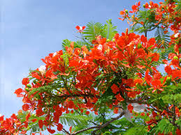 ハノイのそれが好き💕