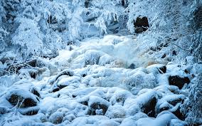 Choose from a curated selection of cute background galleries for your mobile and desktop screens. Landscapes Nature Winter Snow Seasons Rivers Frost White Ice Wallpaper 1920x1200 24031 Wallpaperup