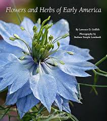 I am 1 class from completing my masters in birth through 2nd grade. Flowers And Herbs Of Early America Griffith Lawrence Lombardi Barbara Temple 9780300145366 Amazon Com Books
