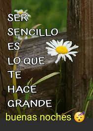 Pin De Elvi En Sueno Gifs De Buenas Noches Frases De Sabiduria Hola Buenos Dias Frases