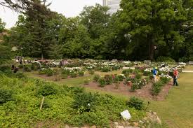 Expert recommended top 3 florists in ann arbor, michigan. University Of Michigan Nichols Arboretum