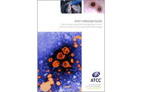 The culture and experiments of organoid cells generated in this study were performed according to previously reported (drost et al., 2016, lukacs et al., 2010). Atcc Culture Guides A Century Of Culturing Biological Material Atcc
