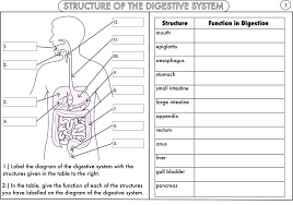 Human Digestive System Diagram Worksheet Aparatos Del Cuerpo Humano Cuerpo Humano Para Ninos Clase De Biologia