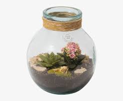 Maybe you would like to learn more about one of these? Succulent Terrarium Flowerpot Free Transparent Png Download Pngkey