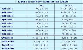 bebegin tarti boy cizelgesi anneyle bebek