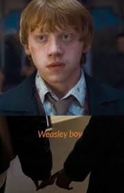 Ron-weasley Stories