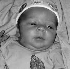 Pruners compete for cash