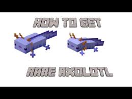 Lush caves are a new type of world generation that will only spawn under the newly introduced azalea trees. How To Get The Rare Blue Axolotl In Minecraft Youtube