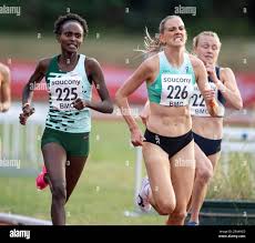 Image result for Psydrax mutimushii