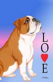 Pin On Bulldog Anglais Chiens Et Chiots
