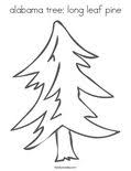 Click the oklahoma state tree coloring pages to view printable. State Tree Of Nc Coloring Page Twisty Noodle