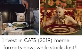 Where will gme, bb, amc and bitcoin go? Invest In Cats 2019 Meme Formats Now While Stocks Last Cats Meme On Me Me
