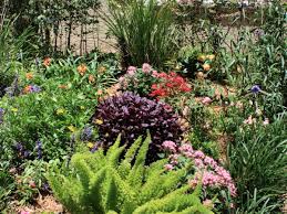 Check spelling or type a new query. 12 Plants That Thrive In The Sun How To Make A Beautiful South Florida Flowerbed Dengarden
