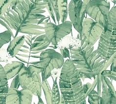 Custom murals · free us shipping · free samples · easy installation Tropical Jungle Green Leaf Removable Wallpaper Pottery Barn