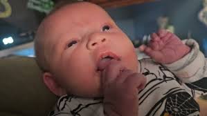 Good Morning from Annabell!