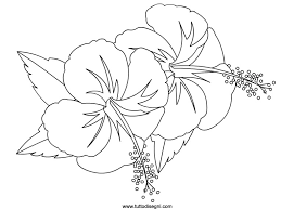 Più Ricercato Fiori Disegni Da Colorare Disegni Da Colorare