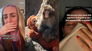 Punch the monkey has everyone in their feelings