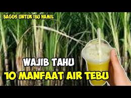 Coba gunakan air tebu untuk keramas agar rambut lebih lembut dan lebih sehat. 22 Manfaat Air Tebu Untuk Ibu Hamil Background Content