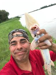 Platte River Fish Shortage and Weir Management in Michigan