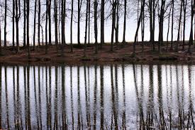 We did not find results for: Reflection Trees Free Images Download Titania Foto