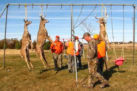 This article relies largely or entirely upon a single source. Rigor Mortis The Importance Of Hanging Deer