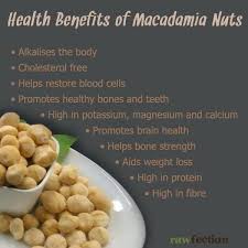 Macadamia Nuts Are An Excellent Source Of Energy Benefits Health Nut Benefits Macadamia Nut Benefits Feel Good Food