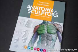 Joe muscolino's the muscular system manual: Best Anatomy Books For Artists Some Of My Favourites Parka Blogs
