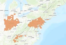 How to prepare for a swarm of cicadas this year—and why you should never kill them. What Is Brood X The U S Cicada Infestation Coming In 2021 Cbs News
