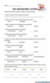 respiratory system worksheets and online exercises