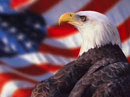 Eagle Patriotic Backgrounds Eagle Wallpaper American Flag Wallpaper Bald Eagle