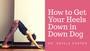 7 Reasons Your Heels Don T Touch The Floor In Downward Facing Dog Downward Dog Pose Downward Dog Yoga Downward Facing Dog
