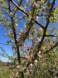 Image result for tbn:0PJB32OL7JwfOM::farm4.static.flickr.com/3324/3329876139_f2d551139f.jpg