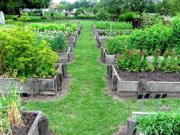 Garten Anders Hochbeete Im Klostergarten Riddagshausen Garten Garten Hochbeet Und Hochbeet
