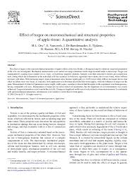 Shoutout to my amazing research mentor dr. Pdf Effect Of Turgor On Micromechanical And Structural Properties Of Apple Tissue A Quantitative Analysis Engelbert Tijskens Academia Edu