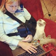 Half Past Kissin Time 37 Things To Expect When You Re Expecting Rotator Cuff Surgery Rotator Cuff Surgery Rotator Cuff Shoulder Surgery Recovery