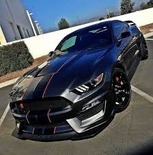Ford Shelby Mustang Gt 350r Chimmiri Ujwal Google Mustang Ford Mustang Shelby Mustang Shelby