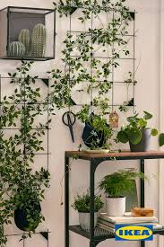 You Click It We Ship It Flowers You Can Stay Planted Now That We Deliver Ikea Parcel Delivery Starting At 7 99 Fake Plants Decor Plant Decor Ikea Plants