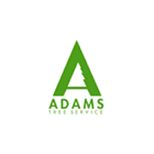 This company in the campbell, oh area can do all kinds of jobs with trees to include both stump grinding and tree trimming. Adams Tree Service Tree Services 2260 Albea Road Campbell River Bc Phone Number