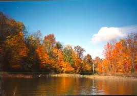 This area offers two boat ramps, a fishing pier, flat bottom boats, canoes, pontoons, and bass boat rentals. Alum Creek State Park Wikipedia