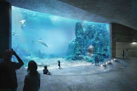 boltshauser architekten wins basel aquarium competition zaha hadid only 3rd aquarium architecture big aquarium aquarium