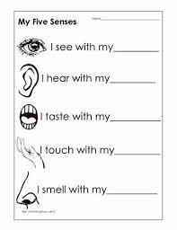 5 Senses Words Worksheet Worksheets English Worksheets For Kindergarten Five Senses Worksheet Senses Preschool