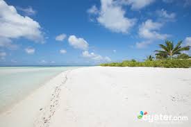 Visit the spa, go paddleboarding, and just relax, far away from the rest of the world. The Brando Review What To Really Expect If You Stay